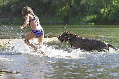 小女孩在河里逃离狗 女孩害怕狗 在夏日阳光明媚的日子里 小女孩和狗在河里玩耍小狗支撑晴天喜悦海滩旅行宠物犬类牧羊犬活动图片