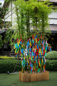 在日本传统的七夕节期间 在竹枝上悬挂彩色纸条 Tanzaku 以示吉祥图片