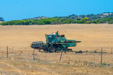 在西澳大利亚州停在干玉米田上的老式联合收割机图片