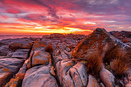 富红色日出 在澳大利亚的岩石海岸高清图片
