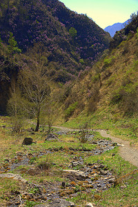 山峡的一条小径 在森林和草地覆盖的山坡中 风景旅行岩石蓝色树木远足公园路线旅游山脉天空图片