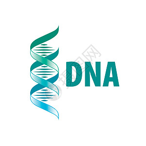 以螺旋 DNA 的形状签名 矢量图代码染色体技术药品生物公司克隆健康标识基因组图片