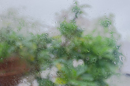 雨季湿窗玻璃表面的雨滴 抽象背景 在室外多云背景下从模糊的树中分离出来的雨滴的自然图案图片