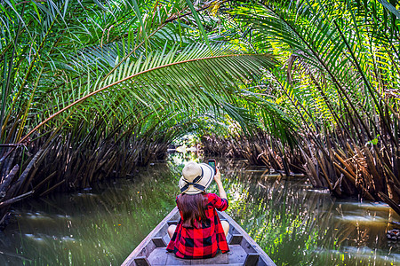 在泰国Surat thani的或棕榈树隧道中植物旅行棕榈公园河流运河树叶叶子热带红树图片