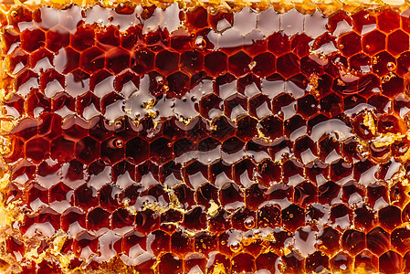 蜂窝背景的宏糖浆养蜂业食物梳子甜点工艺蜂蜜花蜜饮食橙子图片