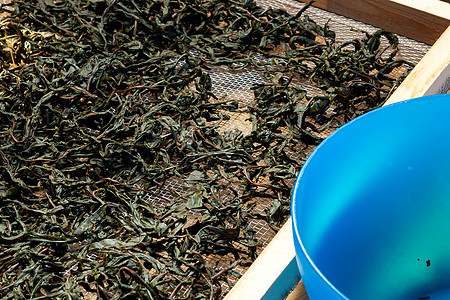 从被称为俄罗斯伊万茶或 Koporye 茶的盛开的莎莉泡茶的过程 准备发酵的叶子 准备干燥的叶子荒野沙枣材料蜉蝣烹饪植物照片草本图片