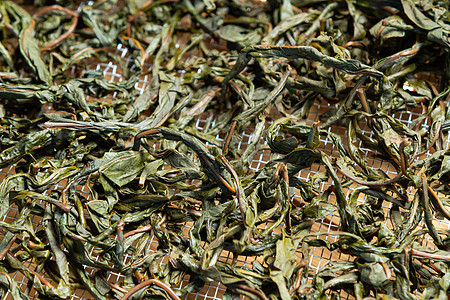 从被称为俄罗斯伊万茶或 Koporye 茶的盛开的莎莉泡茶的过程 准备发酵的叶子 准备干燥的叶子烘干桌子维生素治疗草本植物荒野沙图片