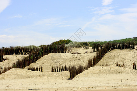 比利时北海沿岸的沙丘 D面积沙滩天空植物土地海滩海岸沙丘草牧歌田园诗图片