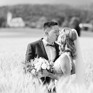 在斯洛文尼亚乡村的某个小麦田里 新娘和新郎亲吻和拥抱套装夫妻领结女士风尚面纱夫妇幸福农村婚姻图片