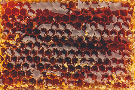 蜂窝背景的宏工艺饮食药品甜点食物细胞花蜜蜂蜜乡村糖浆图片