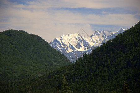 高山草地高山上积雪的山峰 生长着青草和隐形森林背景