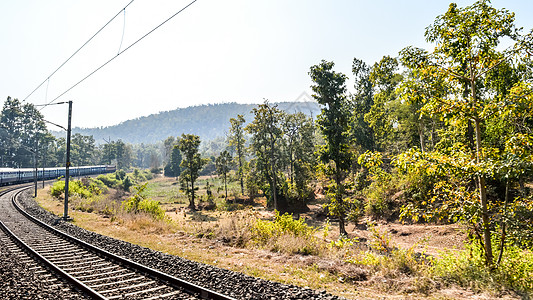 在康坎铁路 迷人的铁轨上进行印度火车之旅 风景秀丽的火车在西高止山脉茂密的森林两侧行驶 急转弯 拥有郁郁葱葱的绿色景色和美丽的风图片