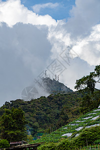 卡梅伦高地山顶在马来西亚低云中消失图片