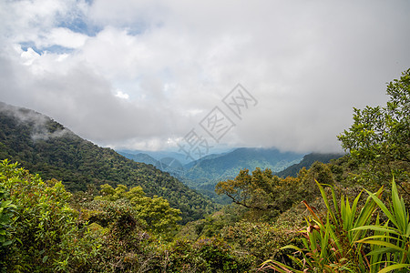 卡梅伦高地雨林 覆盖马来西亚山丘和山谷图片