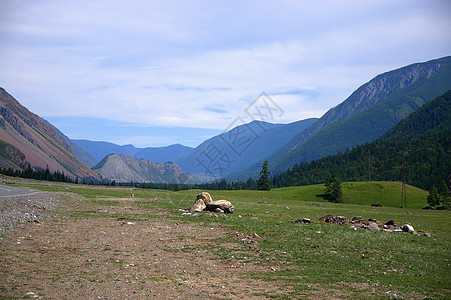 在穿过山谷的路上 路边的石块岩浆躺在地上图片