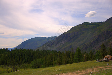 山坡 高山背景上林林密不可分的山坡图片