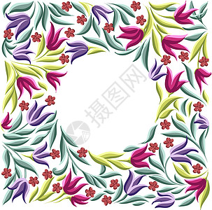 不同花的圆形花框花环边界植物野花戒指叶子卡片圆圈绘画花束艺术图片