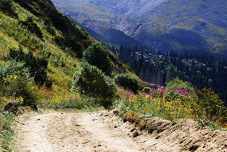 山中间的公路上旅行旅游山脉地标假期岩石荒野绿色冒险风景图片