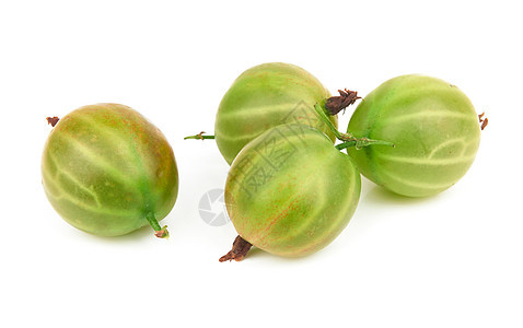 白色的鹅莓绿色水果醋栗食物图片
