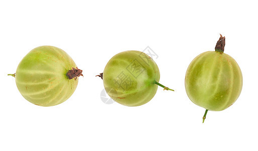 白色的鹅莓水果食物绿色醋栗图片