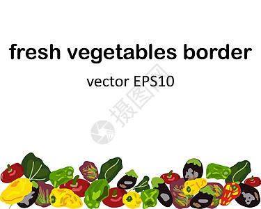 蔬菜设计边框上白色孤立图片