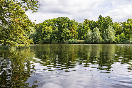 柏林夏洛特堡斯洛斯加顿湖树叶环境树木反射地标风景木头池塘树干花园图片