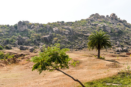 印度贾坎德邦高原干旱丘陵地区景观 气候变化导致土地退化 影响农业生产力 生物多样性和可持续发展热带田园可持续极端气候时间环境环境图片
