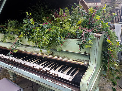 花朵从小大钢琴里长出来绿色木头键盘钢琴键花园风格音乐钥匙乐器装饰图片