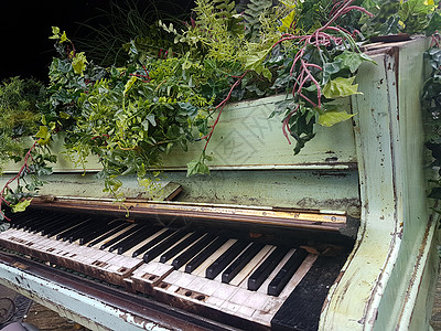 花朵从小大钢琴里长出来风格花园绿色音乐钢琴键乐器旋律装饰键盘木头图片
