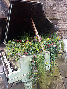 花朵从小大钢琴里长出来钢琴键装饰创造力旋律木头植物花园绿色乐器钥匙图片