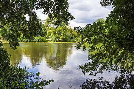柏林夏洛特堡斯洛斯加顿湖树叶池塘森林植物公园树干花园地标风景叶子图片