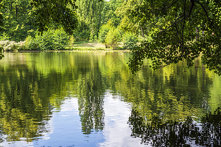 柏林夏洛特堡斯洛斯加顿湖森林地标树干植物旅行公园木头花园环境反射图片