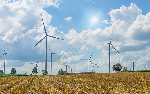 草原上有许多风力涡轮机天空翅膀阳光蓝色白色发电机太阳活力风车多云图片