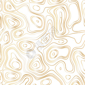 白色背景上的抽象金线波浪设计-矢量图解背景图片