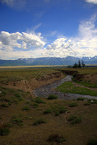 流经大草原的溪流和雪中覆盖的山坡 Kurai草原 Altai 西伯利亚 俄罗斯图片
