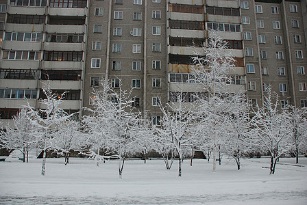 城市中清雪森林天气木头公园树木小路季节场景白色图片