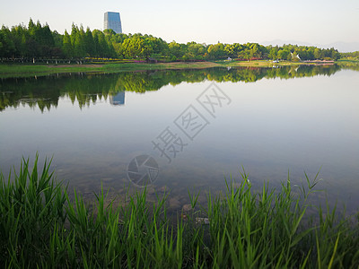 中国Yiwu市城市公园湖风景森林池塘绿色天空树木乡村公园反射图片