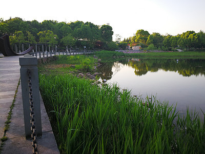 中国Yiwu市城市公园湖树木风景池塘反射天空绿色公园乡村森林图片