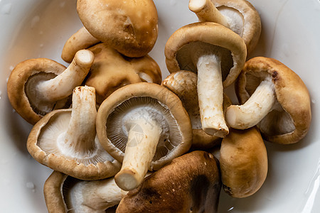 一堆蘑菇在盘子里白色美食烹饪团体桌子食物营养菌类蔬菜图片