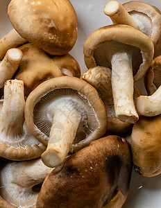 一堆蘑菇在盘子里食物菌类营养白色蔬菜美食烹饪团体桌子图片
