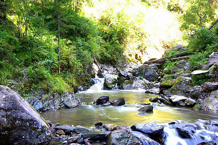 迅速的山河在岩石海岸上 顺着它的水域飘扬到清晨的森林中旅行自然景观叶子风景林地反射公园荒野石头溪流图片