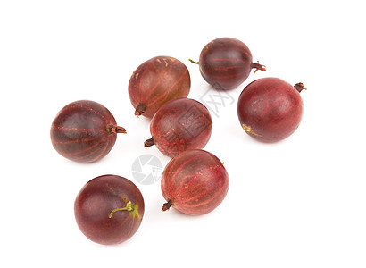 白色的鹅莓食物水果醋栗浆果图片