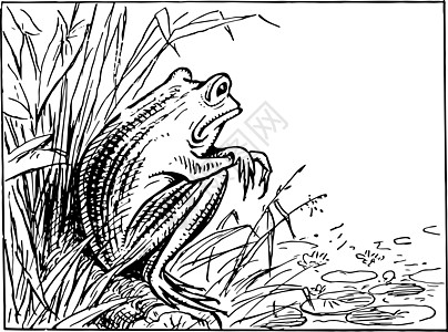 花蛙坐在银行旁看池塘古老插图图片