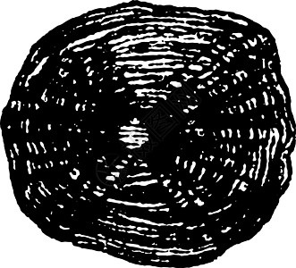 碳化元件插图的子类比例尺图片