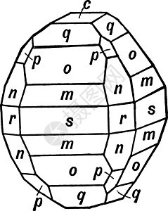 硫酸盐 旧式插图背景图片