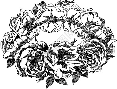 玫瑰花的怒气 陈年插图图片