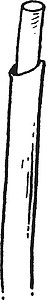 荸荠复古插画艺术黑色管子植物雕刻绘画插图护套白色图片