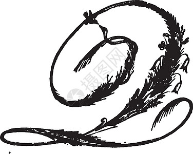Q 圆形文字 古董插图背景图片
