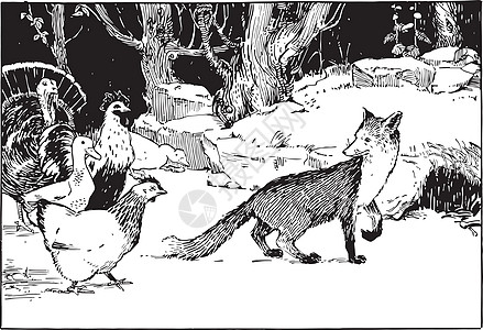 Fox和Fowl 旧式插图图片