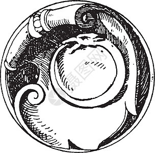 蛇符号是一条蛇 象征着永恒的本质v背景图片